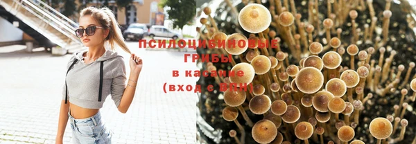 spice Карталы