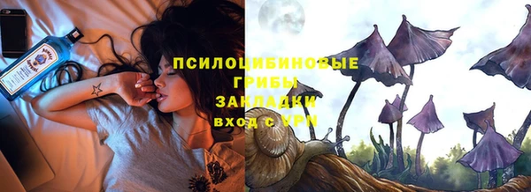 винт Карпинск
